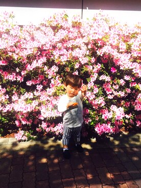 ハルボーさんのコーディネート