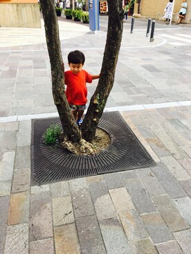 ハルボーさんのコーディネート