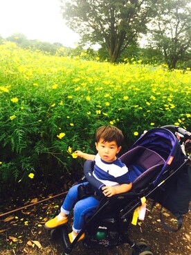 ハルボーさんのコーディネート