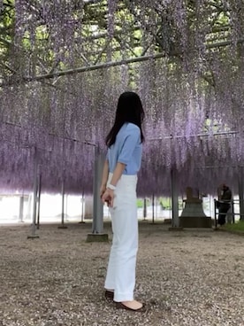 aさんのコーディネート