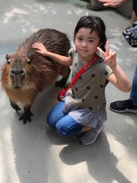 あんぱんちさんのコーディネート