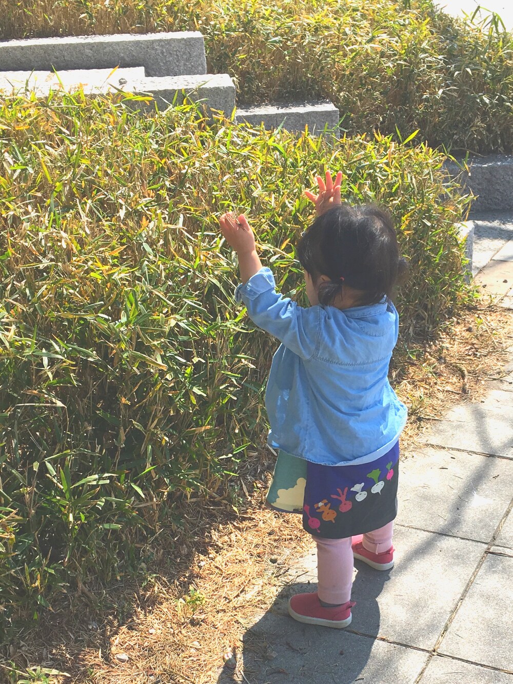 「1歳、おんなのこ、ピンク、五味太郎、ワンピース、デニムシャツ」｜「Design Tshirts Store graniphのコラボレーションAラインキッズワンピース/五味太郎(かぶさんとんだ)（ワンピース、パープル系）」を使った、ちかまるさん（キッズ・80cm）の春コーディネートの1枚目の写真
