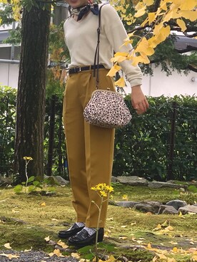 しーそるとさんのコーディネート