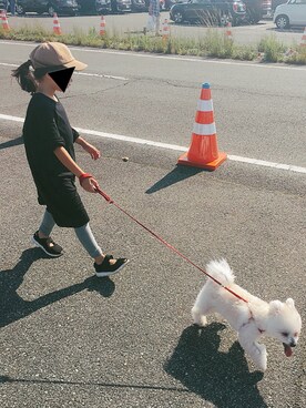 momoさんのコーディネート