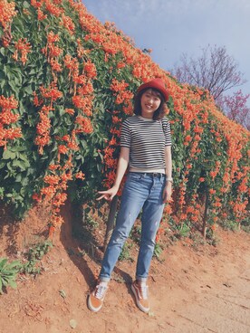 Cammyさんのコーディネート