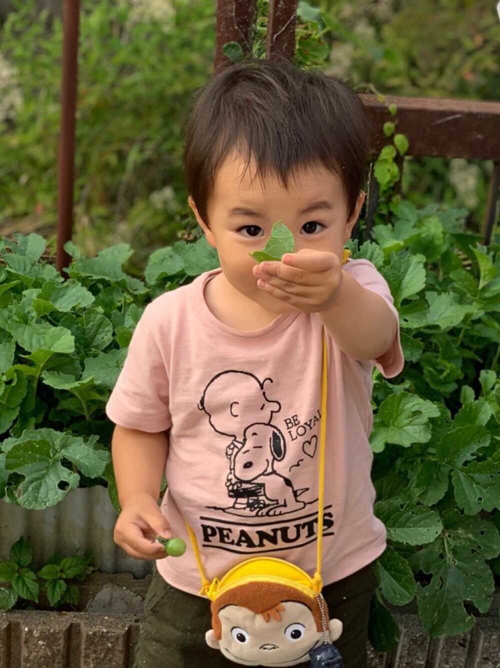 「男の子コーデ、キッズ、スヌーピー、おさるのジョージ、Branshes」｜「SNOOPYのSNOOPY/スヌーピー カラバリTシャツ（Tシャツ/カットソー、ピンク系）」を使った、Ryu.さん（キッズ・90cm）の夏コーディネートの1枚目の写真
