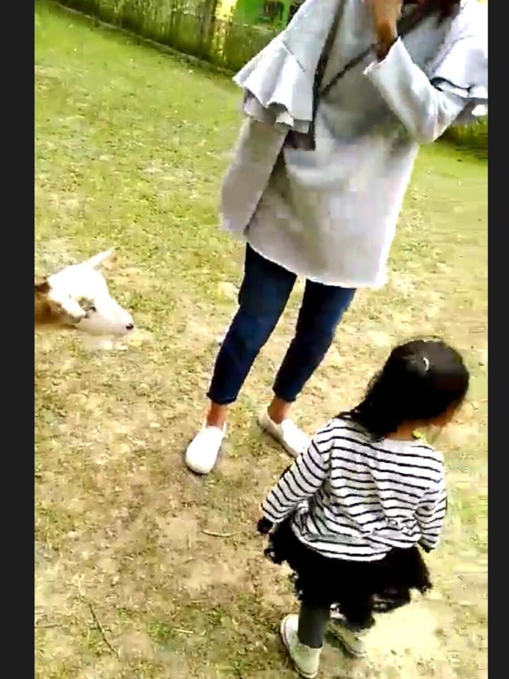 「H&M、converse、UNIQLO、VANS、公園、オトナカジュアル、休日スタイル」｜「H&Mのアイテム（スウェット、グレー系）」を使った、I am Yさん（レディース・168cm）の春コーディネートの1枚目の写真