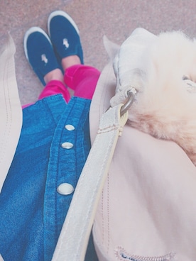 マ ミさんのコーディネート