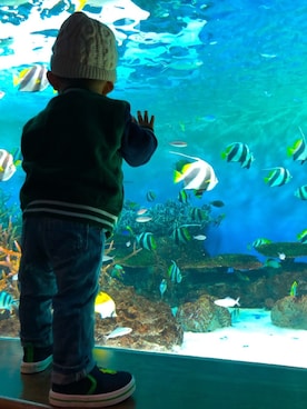 「水族館」｜「アイテム（ジャケット/アウター）」を使った、あさしさん（キッズ・70cm）の春コーディネート