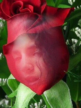 Miz Kremeさんのコーディネート