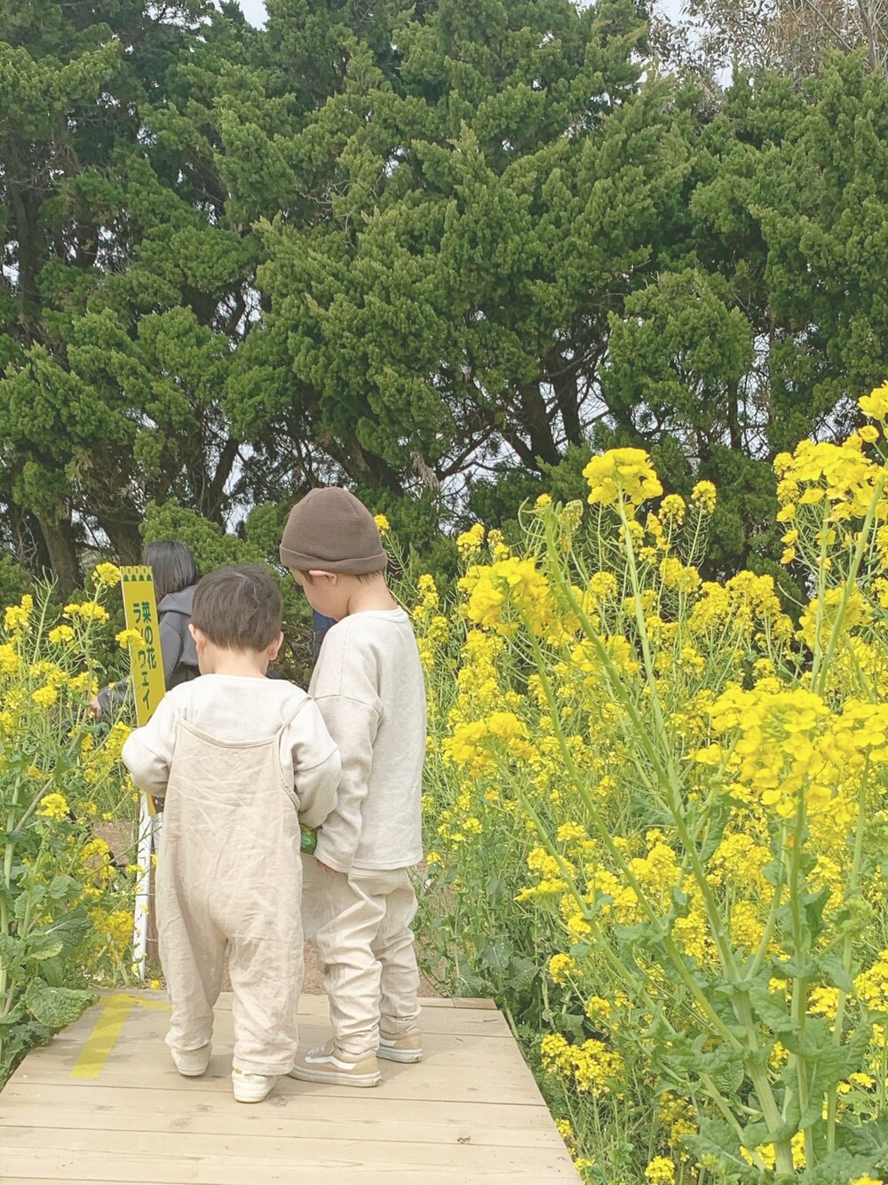「兄弟コーディネート、菜の花畑、4歳、3歳、男の子、ベージュコーデ、ベージュ、韓国子供服、お出かけコーデ、おしゃれさんと繋がりたい」｜「VANSのVANS ヴァンズ V36CJ　OLD SKOOL(14-22) BEIGE（スニーカー、ベージュ系）」を使った、aoharu さん（キッズ・90cm）の春コーディネートの1枚目の写真
