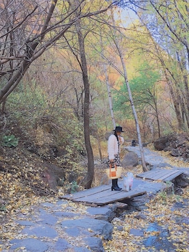 张宇莹-小花さんのコーディネート