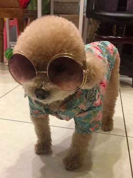 髭男さんのコーディネート