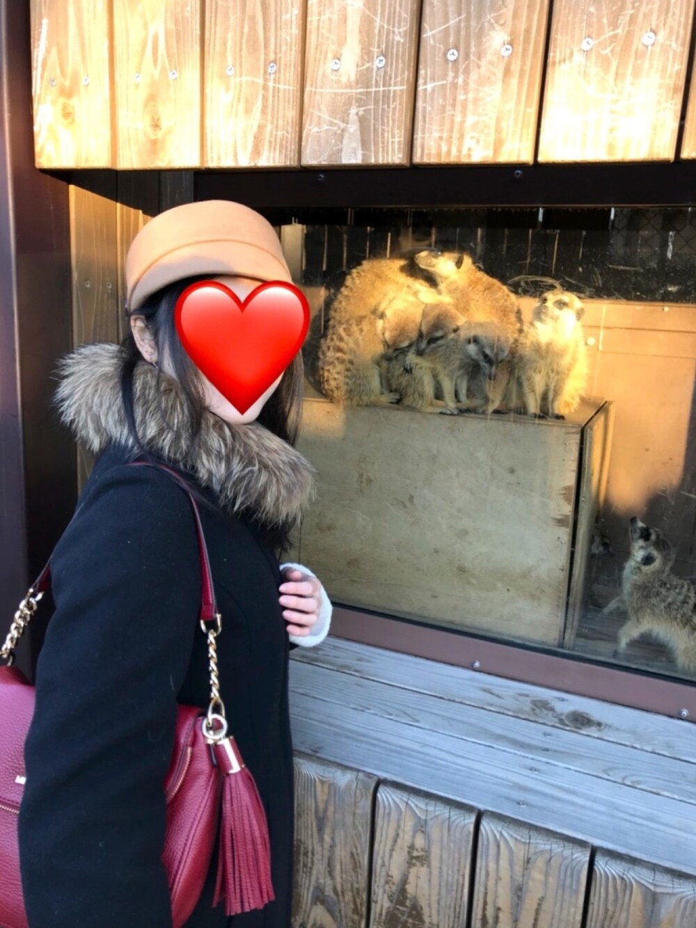 「冬コーデ、コート、ウールコート、ファー、MichaelKors、バッグ、ブラック、レッド、帽子、動物園」｜「Noelaのアイテム（その他アウター、ブラック系）」を使った、Ruthさん（レディース・163cm）の冬コーディネートの1枚目の写真