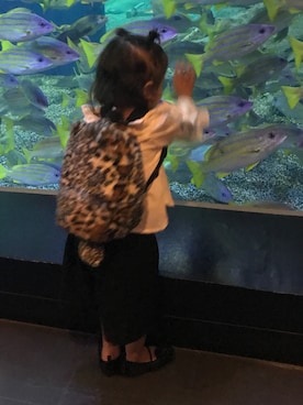 なぁりぃ☻さんのコーディネート