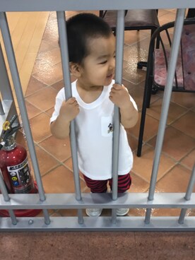 にこさんのコーディネート