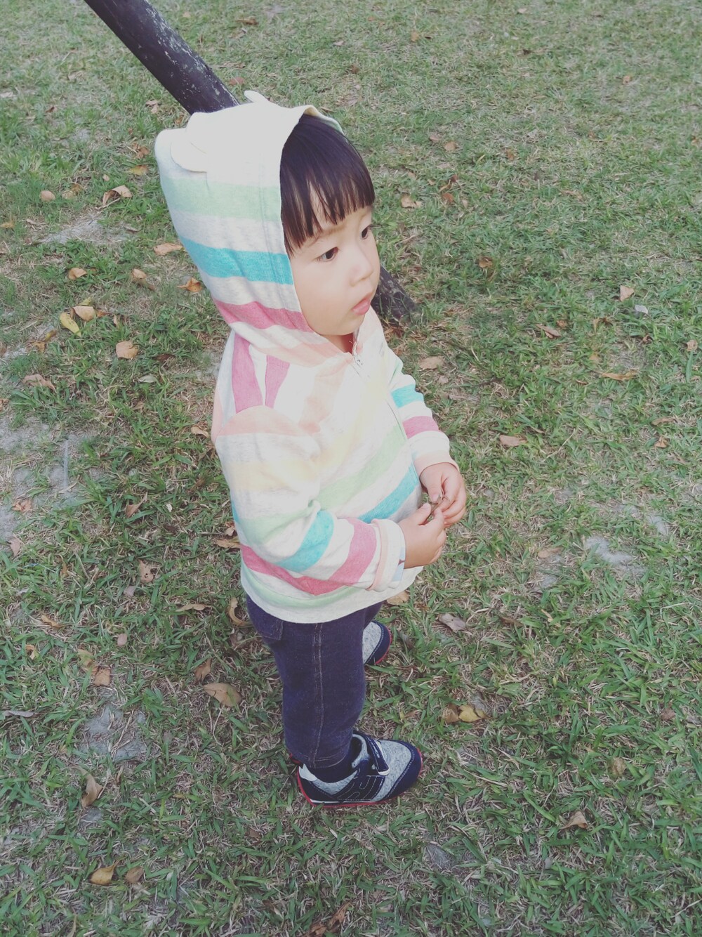 「キッズファッション、babygap、公園、カジュアル、シンプル、男の子、デニム、kidsfashion、baby、1才」｜「baby Gapのアイテム（ジャケット/アウター、その他）」を使った、Mathilda Linさん（キッズ・80cm）の冬コーディネートの1枚目の写真