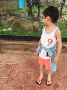 Hiiroさんのコーディネート