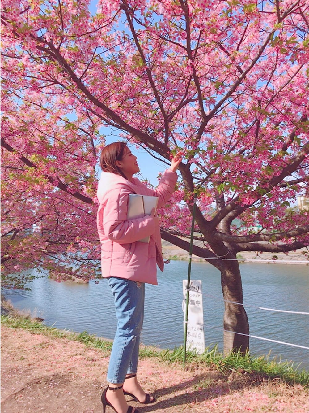 「春コーデ」｜「stradivariusのアイテム（ダウンジャケット/コート、ピンク系）」を使った、GABIさん（レディース・150cm）の春コーディネートの1枚目の写真