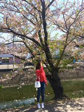 423RYIIさん(レディース・158cm)の春コーディネート