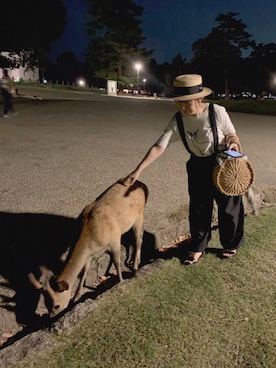 はぐさんのコーディネート