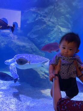 Hey! shuriiiさんのコーディネート