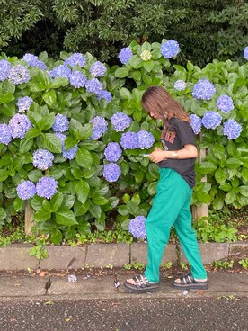 ひとみさんのコーディネート