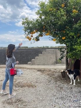 ayamiさんのコーディネート