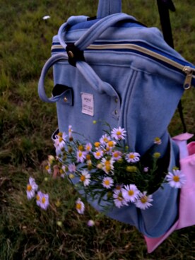 怎么搞得さんのコーディネート