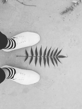 怎么搞得さんのコーディネート