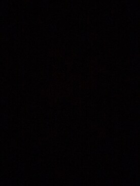 アルトさんのコーディネート