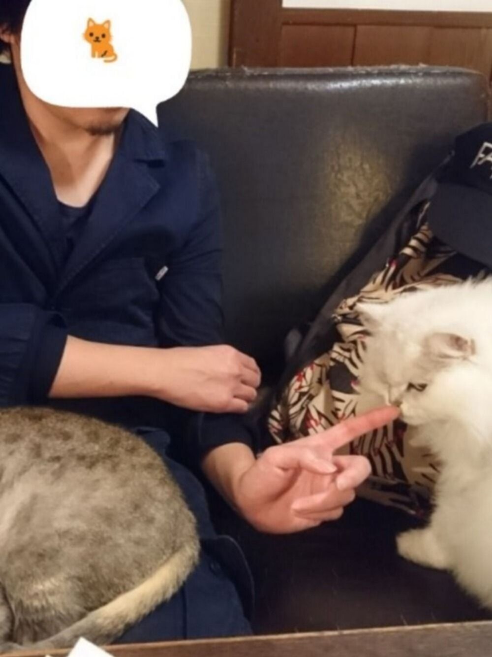 「猫、ネコ、リュック、シンプル、スニーカー、キャップ、ネイビー、セットアップ、秋のコーデ、秋」｜「C.EのC.E×PORTER HAND COLLAGE PACK ～ZOZOEPROZE LIMITED～（バックパック/リュック、グレー系）」を使った、タコさん（メンズ・170cm）の秋コーディネートの1枚目の写真