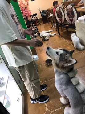 桐小凡さんのコーディネート