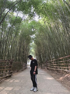 Young Linさんのコーディネート