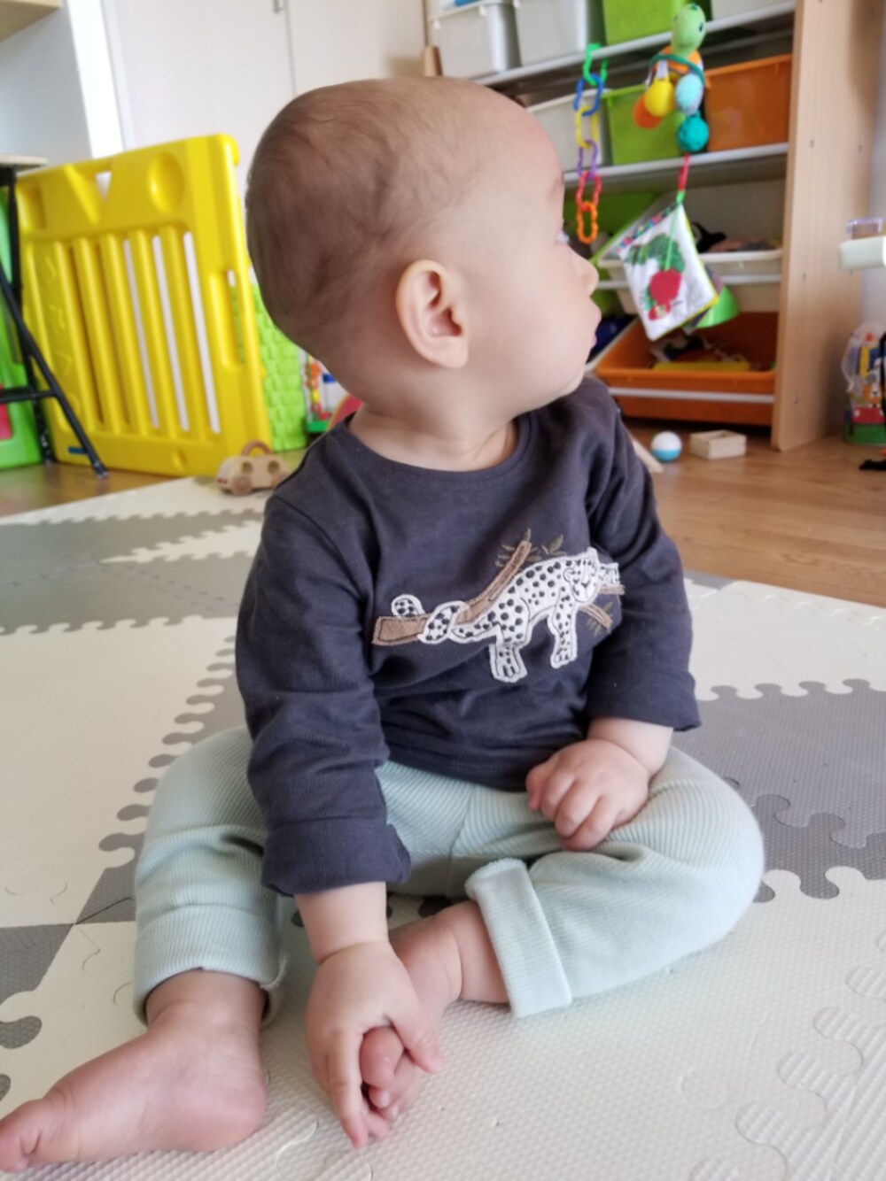 「ハーフ、男の子ベビー、10ヶ月」｜「nextのアイテム（Tシャツ/カットソー、グレー系）」を使った、Owenさん（キッズ・70cm）の春コーディネートの1枚目の写真