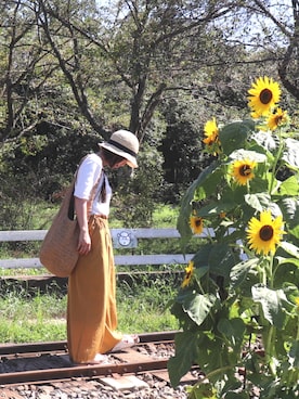 kiiさん（レディース・154cm）の夏コーディネート