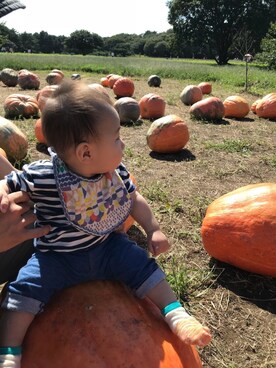 チビたすさん（キッズ・80cm）の秋コーディネート