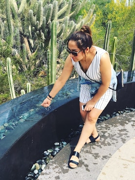 Sareさんのコーディネート