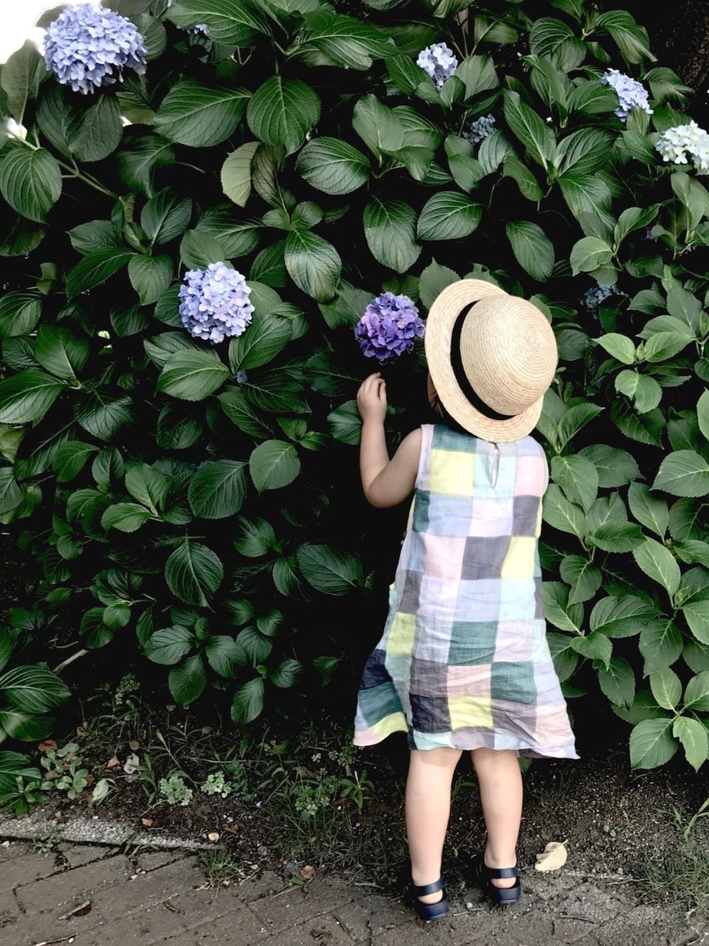 「おんなのこ、3歳、むぎわら帽子、minaperhonen、紫陽花」｜「CLASKA Gallery & Shop "DO"のママとお揃い♡（帽子、ベージュ系）」を使った、ha________taさん（キッズ・90cm）の夏コーディネートの1枚目の写真