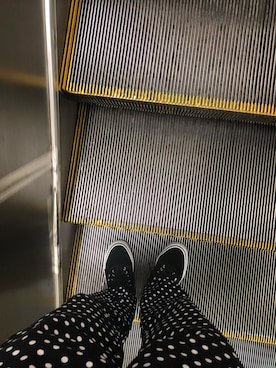 紅茶花伝さんのコーディネート