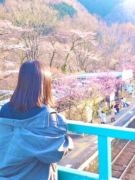 shomaさんのコーディネート