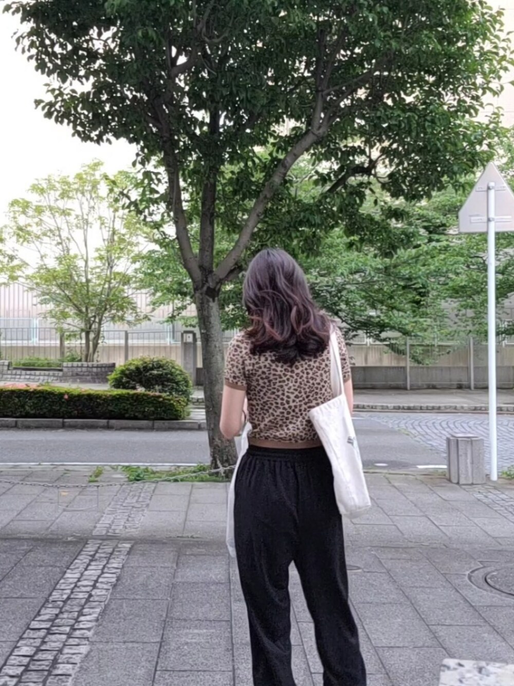 SCULPTOR（スカルプター）の「POLO KNIT TOP/ポロニットトップス