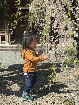 jojomamaさんのコーディネート