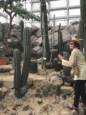 ムラサワヒトミさん（レディース・160cm）の秋コーディネート