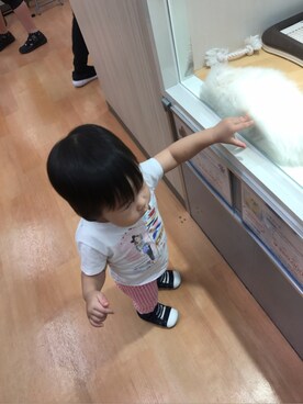 maakoさんのコーディネート