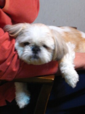 d5さん（メンズ）の冬コーディネート