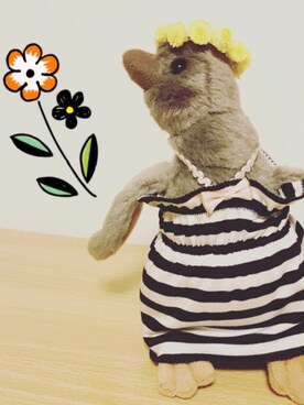 corunumさんのコーディネート