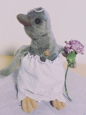 corunumさんのコーディネート