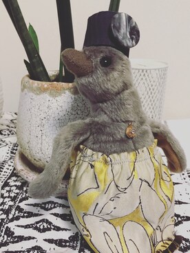 corunumさんのコーディネート