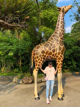 阿藍🐷さんのコーディネート